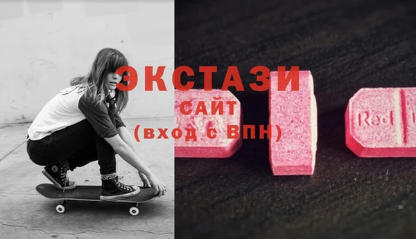 СК Богородицк