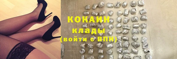 амф Богданович